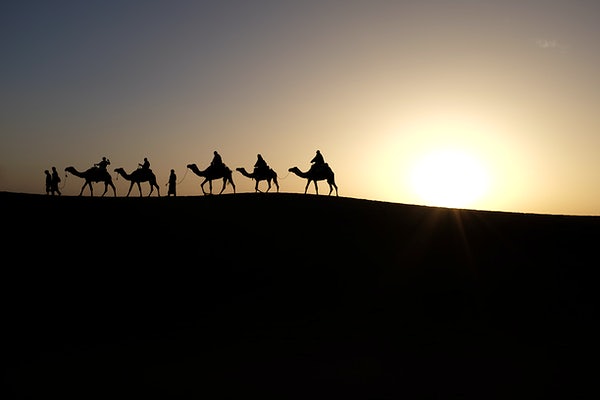 Camels in Sahara Desert – Public Domain – Wikimedia – upwk62252281-wikimedia-image